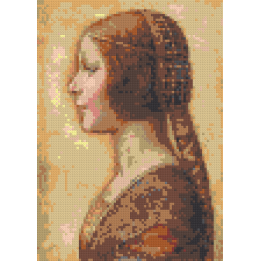 64 x 89,6 cm