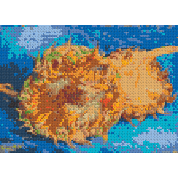 89,6 x 64 cm