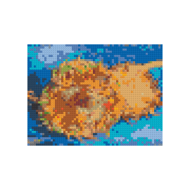 51,2 x 38,4 cm